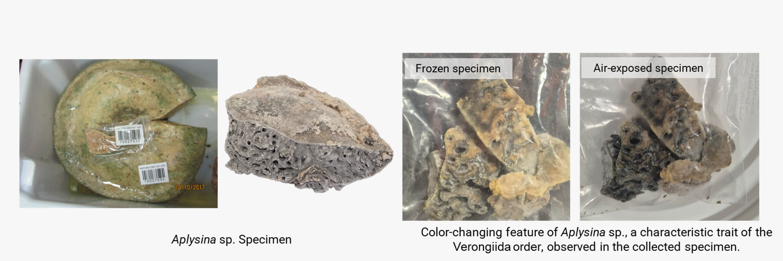 Natural Products as Antibacterial Agents