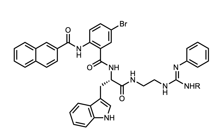 Organic/Medicinal Chemistry