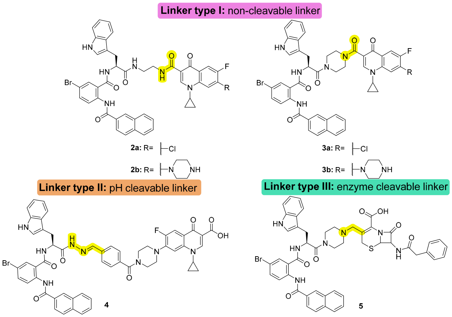 Figure related to antimicrobial peptidomimetic–antibiotic conjugates — Antibiotics publication