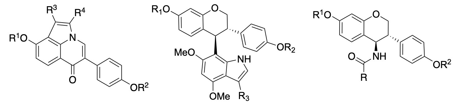 Novel Heterocyclic Analogues of Isoflavones