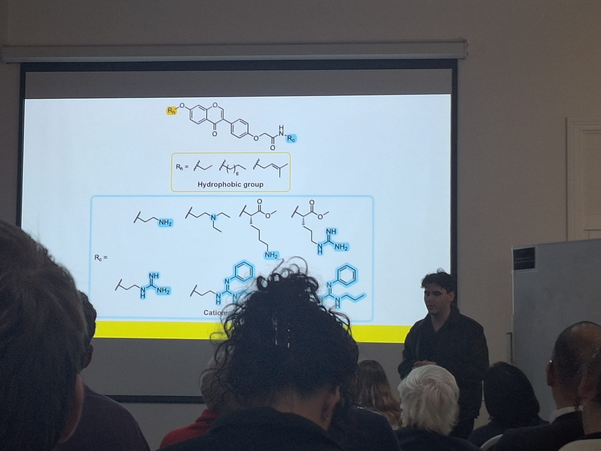 Josh Fleming pitching his poster idea to the audience at Kiama 2026