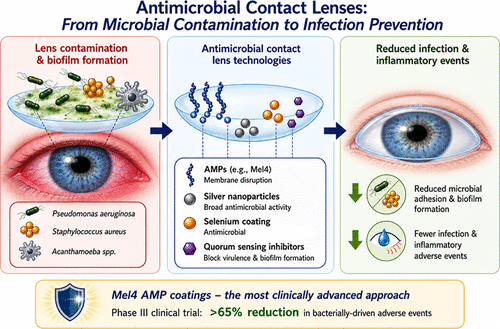Figure from Nathan Carey's review on contact lens-associated infections — ACS Infectious Diseases