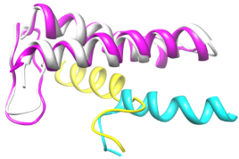 Inhibitors of Bacterial Transcription Initiation