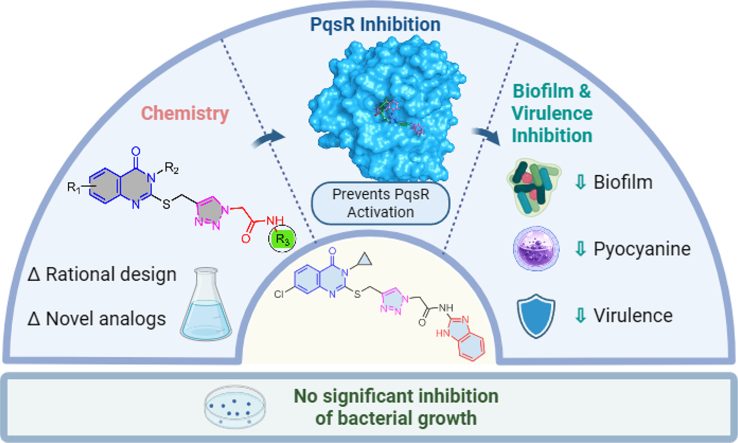 Congratulations to Rasel Khan on New Bioorganic Chemistry Publication