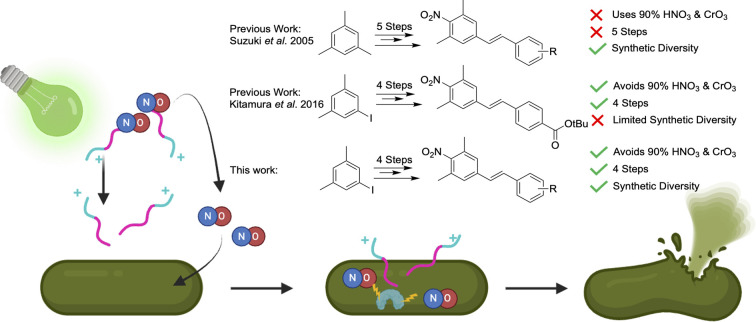 Graphical abstract — nitric oxide–releasing CONA antimicrobial peptide-mimics, RSC Advances 2026