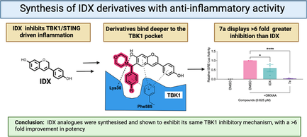 Dr. Valerio Falasca ChemMedChem TBK1 inhibitors publication 2026